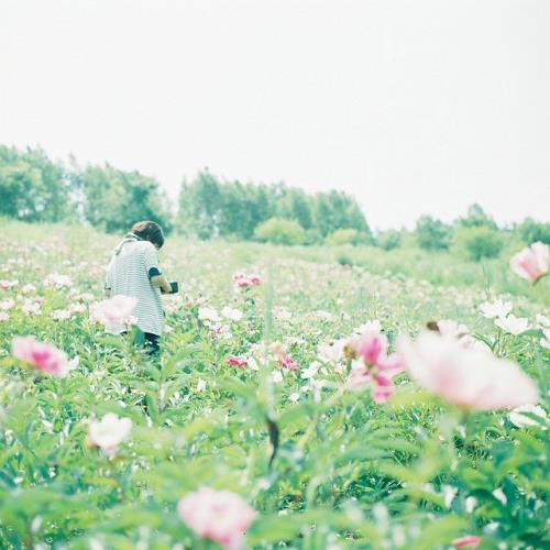 喝酒发的伤感说说(喝酒伤感)