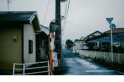 情话留言给女朋友(给女友2023暖心的短句)