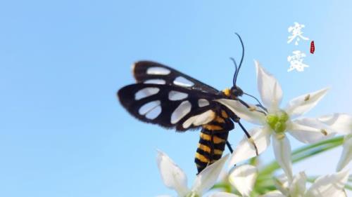 写给爱人的句子十个字