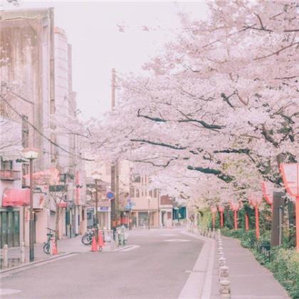 七夕雨夜伤感句子(60句)