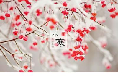 三八节10字祝福语(适合女神节发的朋友圈)