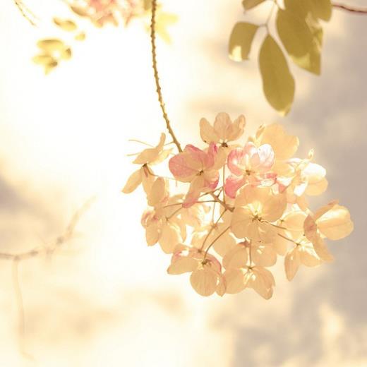 元旦祝福短信最温馨的话(三八节祝福老师的话语)