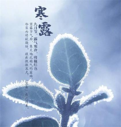 祝福儿子的短句霸气[30条] (孩子生日想发个朋友圈)