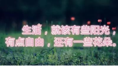 数学名言名句优美句子（博尔特名言座右铭）