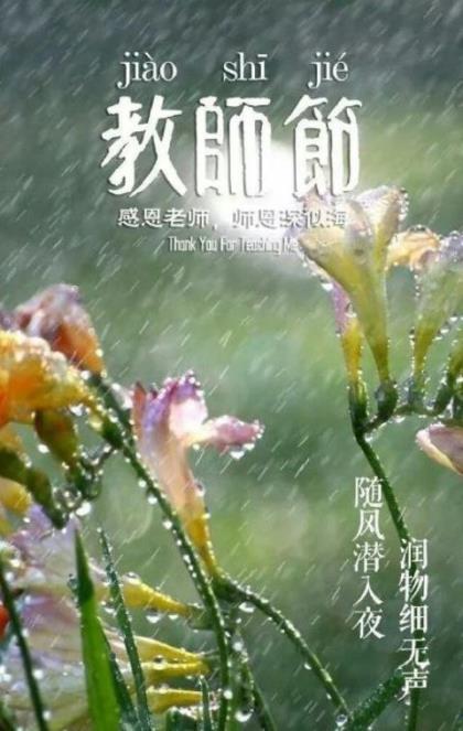 夏天拟人句(夏雨把荷叶当成了他的天然溜冰场…)