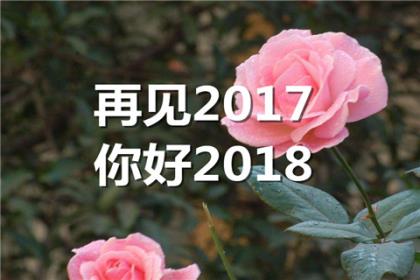 新年拜年贺词(给未来婆婆发的新年祝福语)