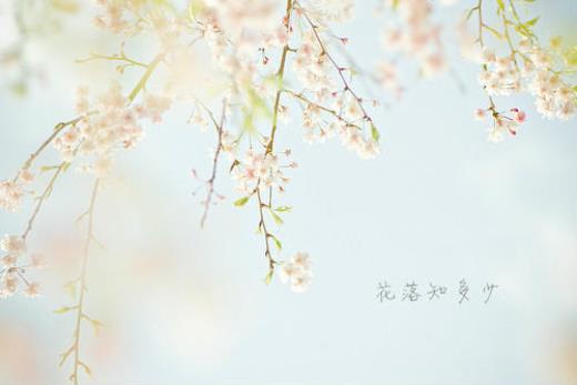 描写春雨的好：遥望晴日咫尺的彼岸…