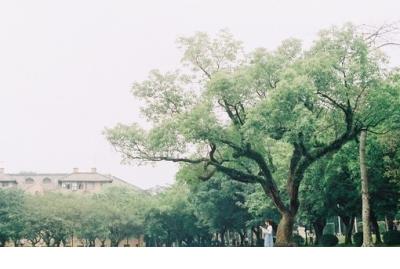 祝顾客情人节快乐的句子(40句)