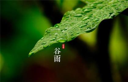 下雨天心情低落的说说[20条] (下雨天的心情说说唯美句子)