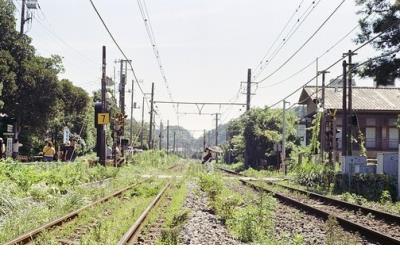 地产销售团队口号[72句]