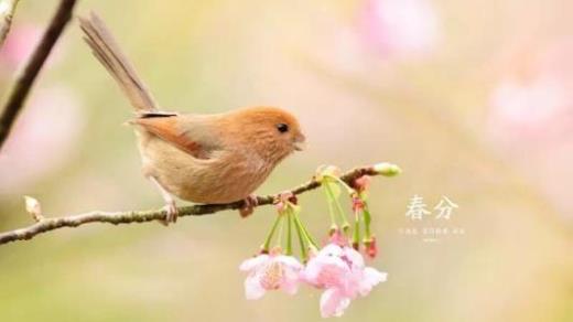 适合女生的励志句子(抖音励志的句子致自己简短)