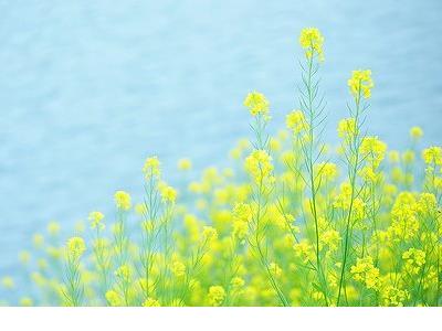 送给老师的端午节祝福语(祝愿老师的祝福语)