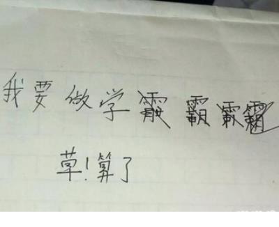 赞美友情的唯美句子(文字控唯美友情句子)