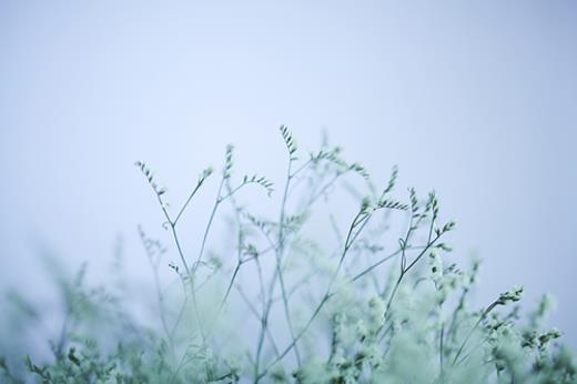 春节有哪些祝福语：祝您全家在新的一年里健健康康…