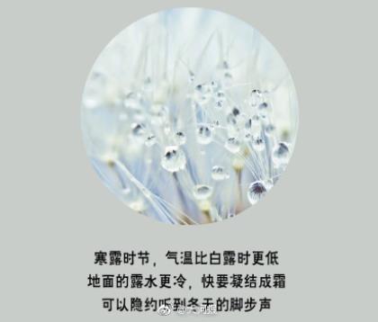 五一节教师祝福短信[40句] (五一节短信祝福工作)