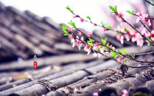 早上好的问候祝福语(清晨充满)