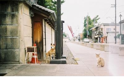 摁住叫花子拨眼屎歇后语[24条] (叫花子吃葡萄的歇后语)