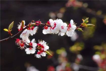 致男闺蜜的生日祝福语[30条] (致闺蜜的经典语录暖心)