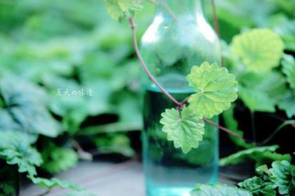 雨天朋友圈文案 适合雨天发的朋友圈 文案(20条)