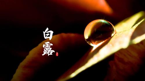 给父母端午节祝福语[30句] (端午节给爸爸祝福语)