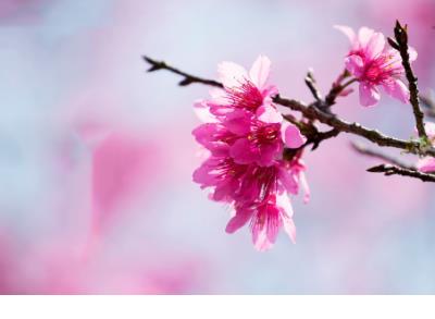 五一国际劳动节小报(五一劳动节祝福语)